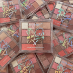 ANY LADY PERFECTLY ENCHANTING 14 COLOR EYESHADOW